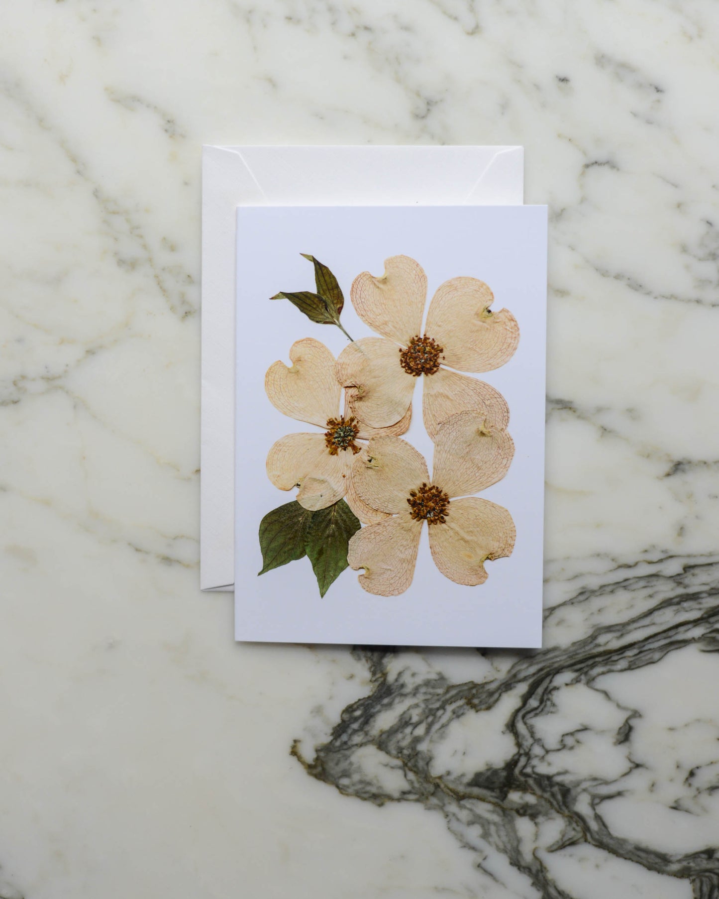 White & Green Florals - Set of Blank Miniature Cards