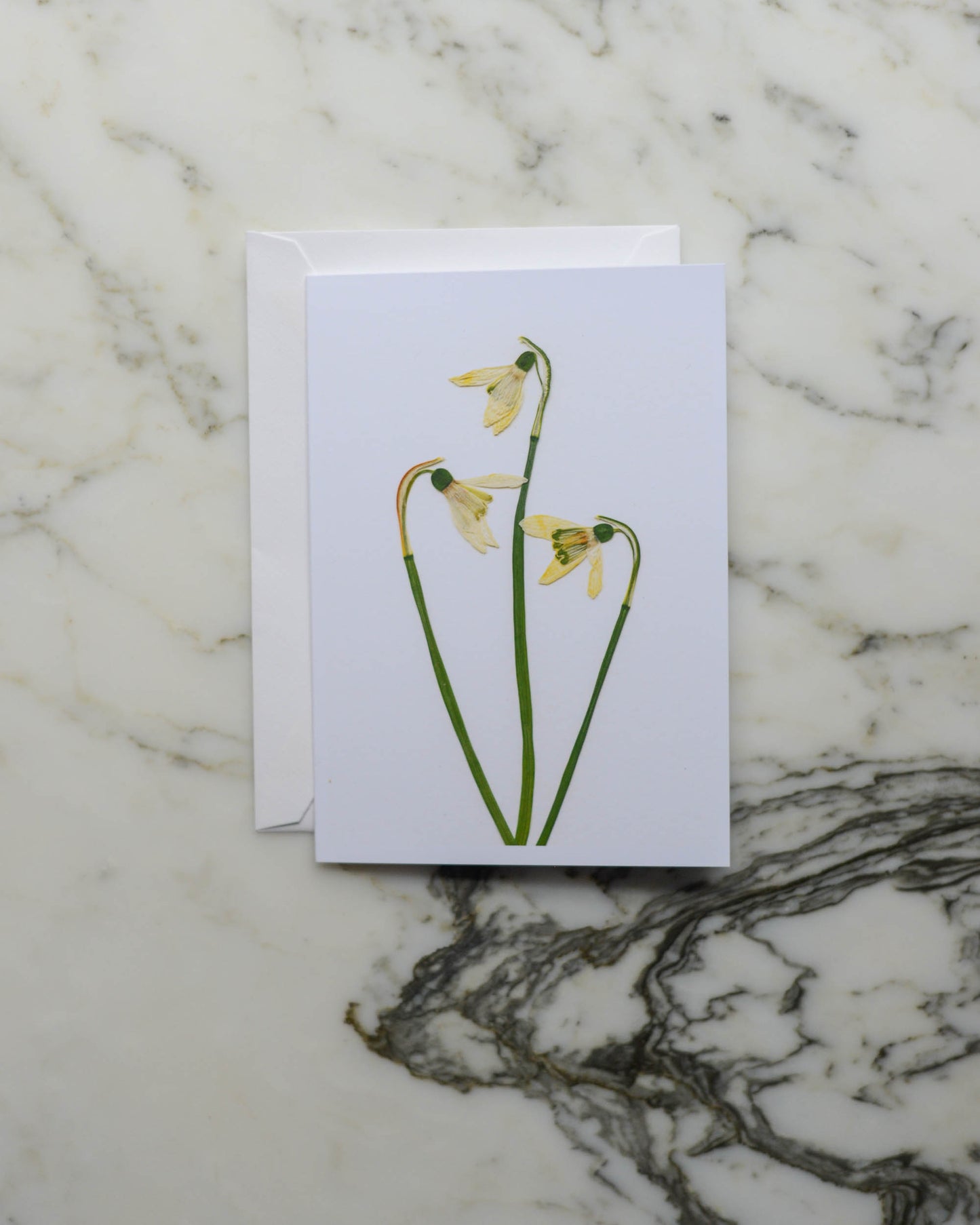 White & Green Florals - Set of Blank Miniature Cards