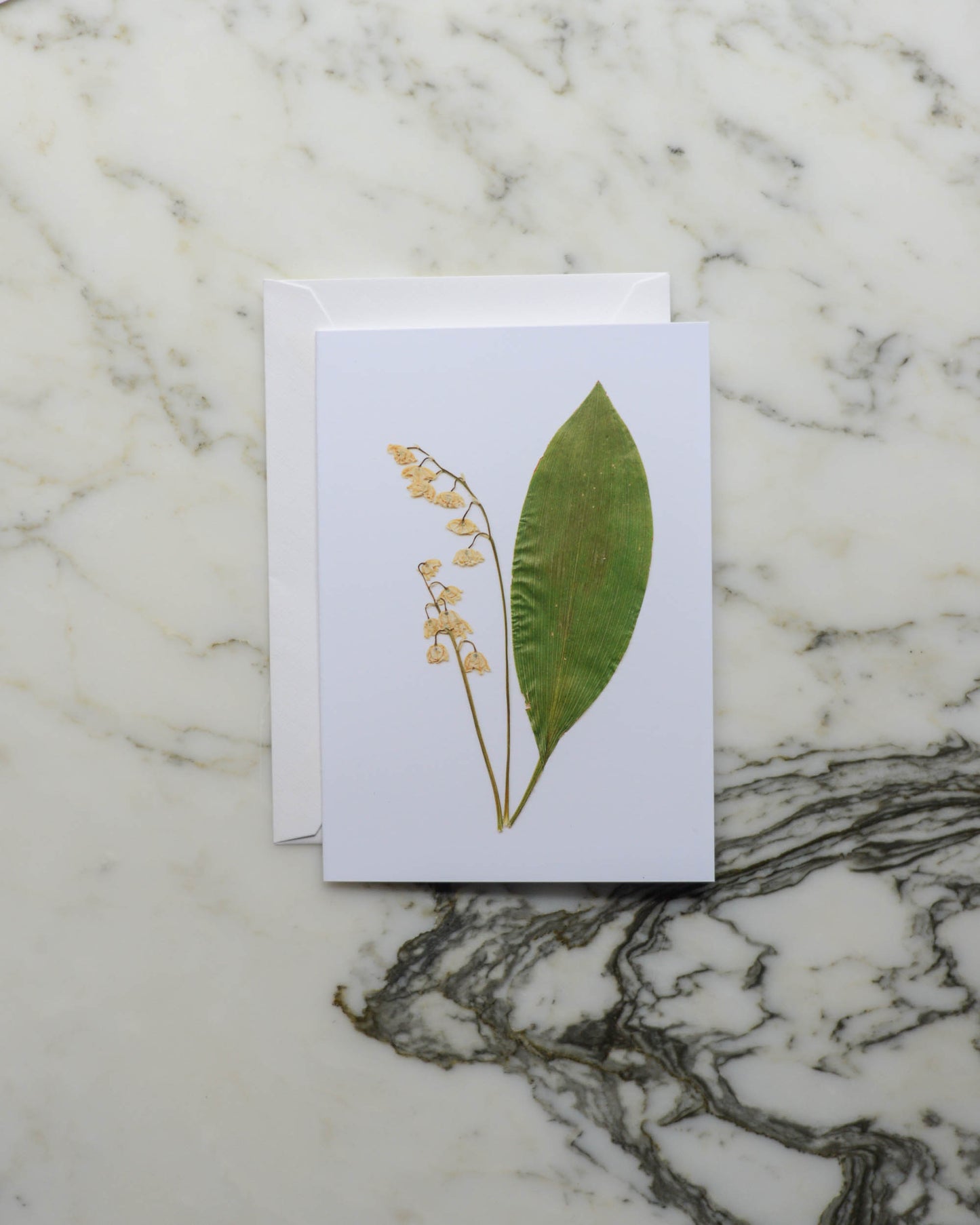 White & Green Florals - Set of Blank Miniature Cards