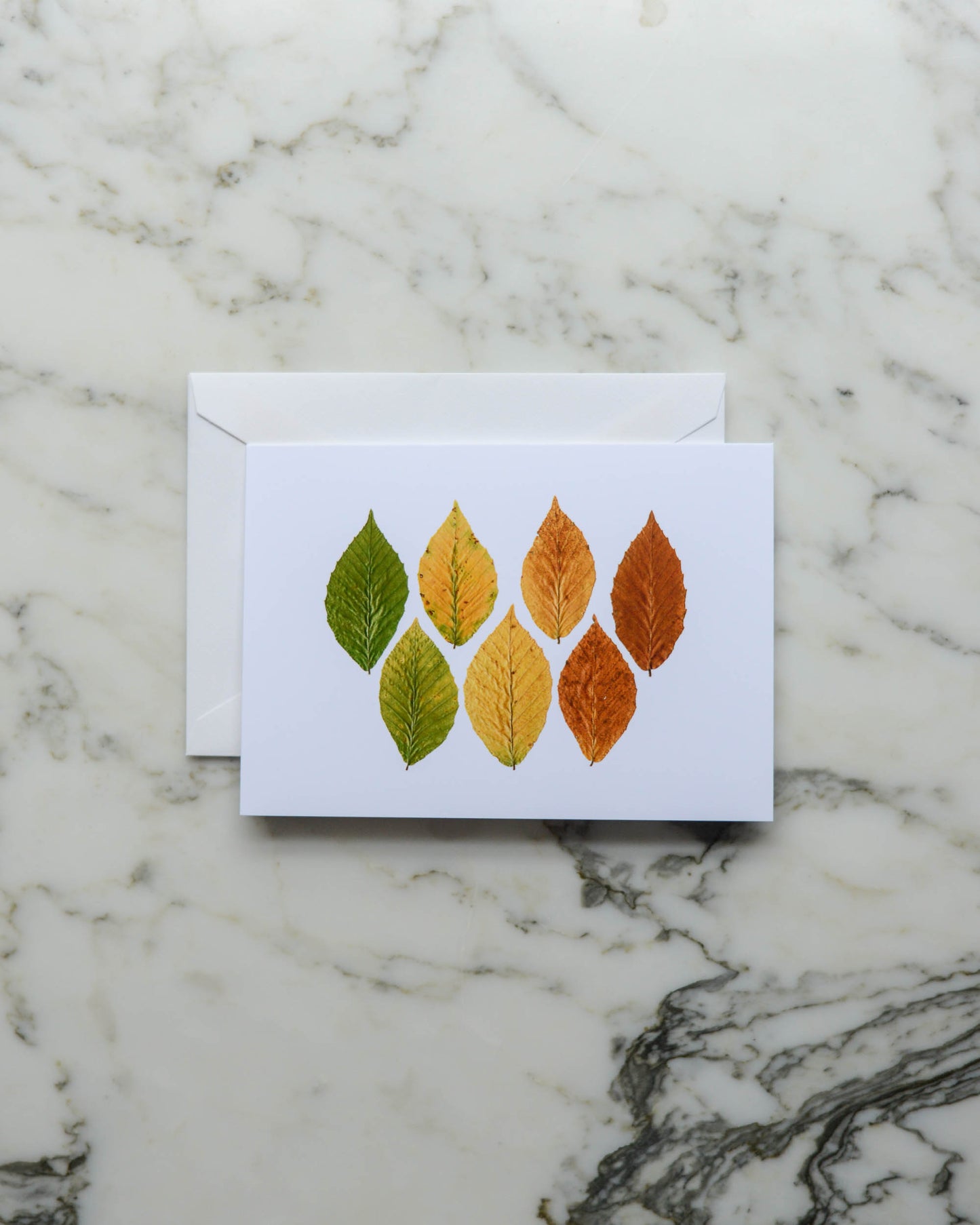 Autumn Leaf Ombrés - Set of Blank Miniature Cards
