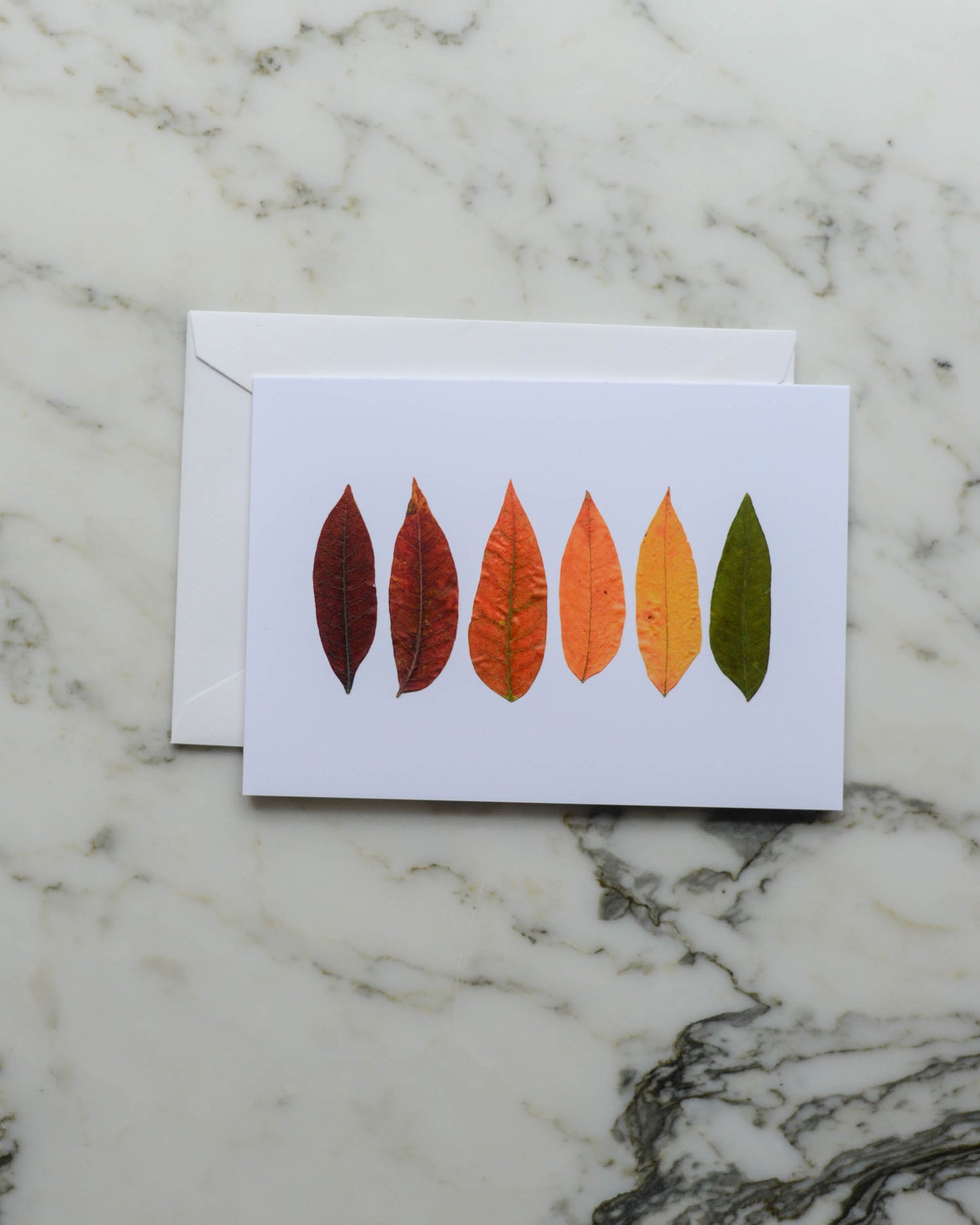 Autumn Leaf Ombrés - Set of Blank Miniature Cards