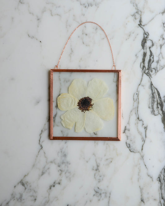 Anemone - Medium Square Glass and Copper Wall Hanging