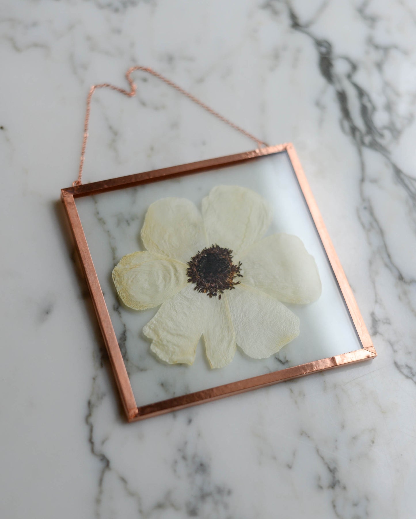 Anemone - Medium Square Glass and Copper Wall Hanging