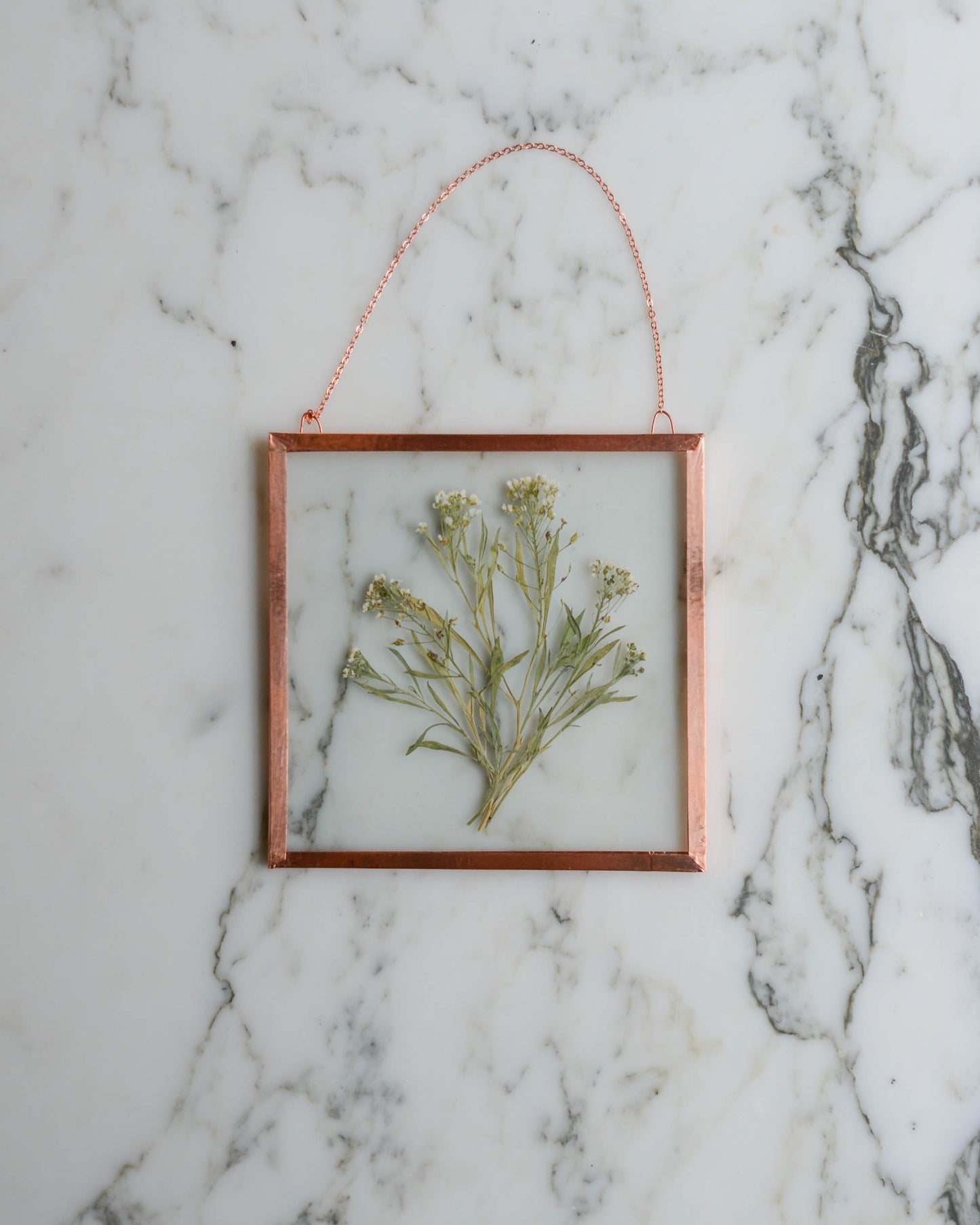 Sweet Alyssum - Medium Square Glass and Copper Wall Hanging