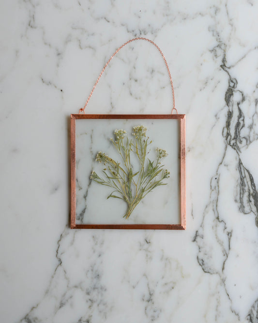 Sweet Alyssum - Medium Square Glass and Copper Wall Hanging