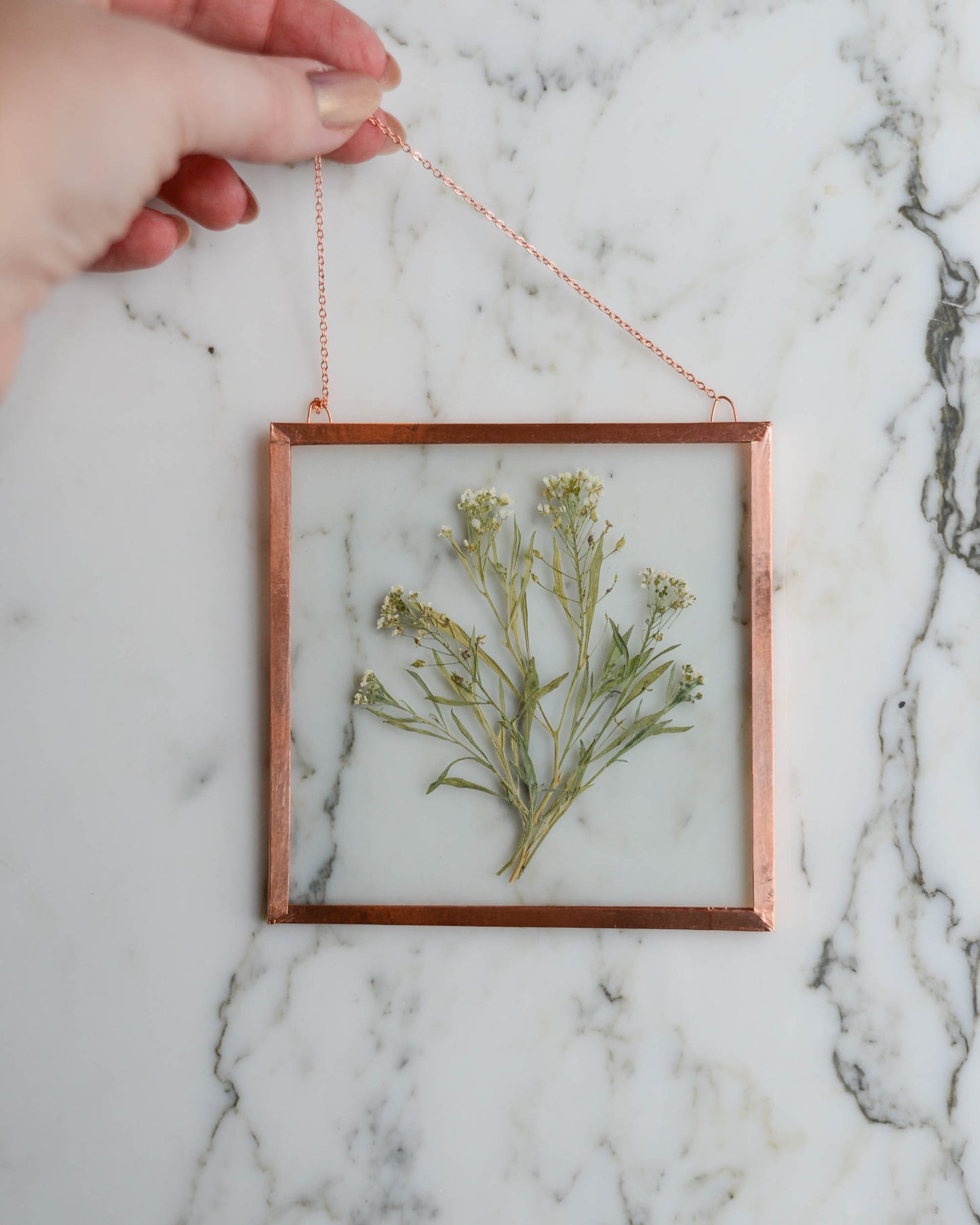 Sweet Alyssum - Medium Square Glass and Copper Wall Hanging