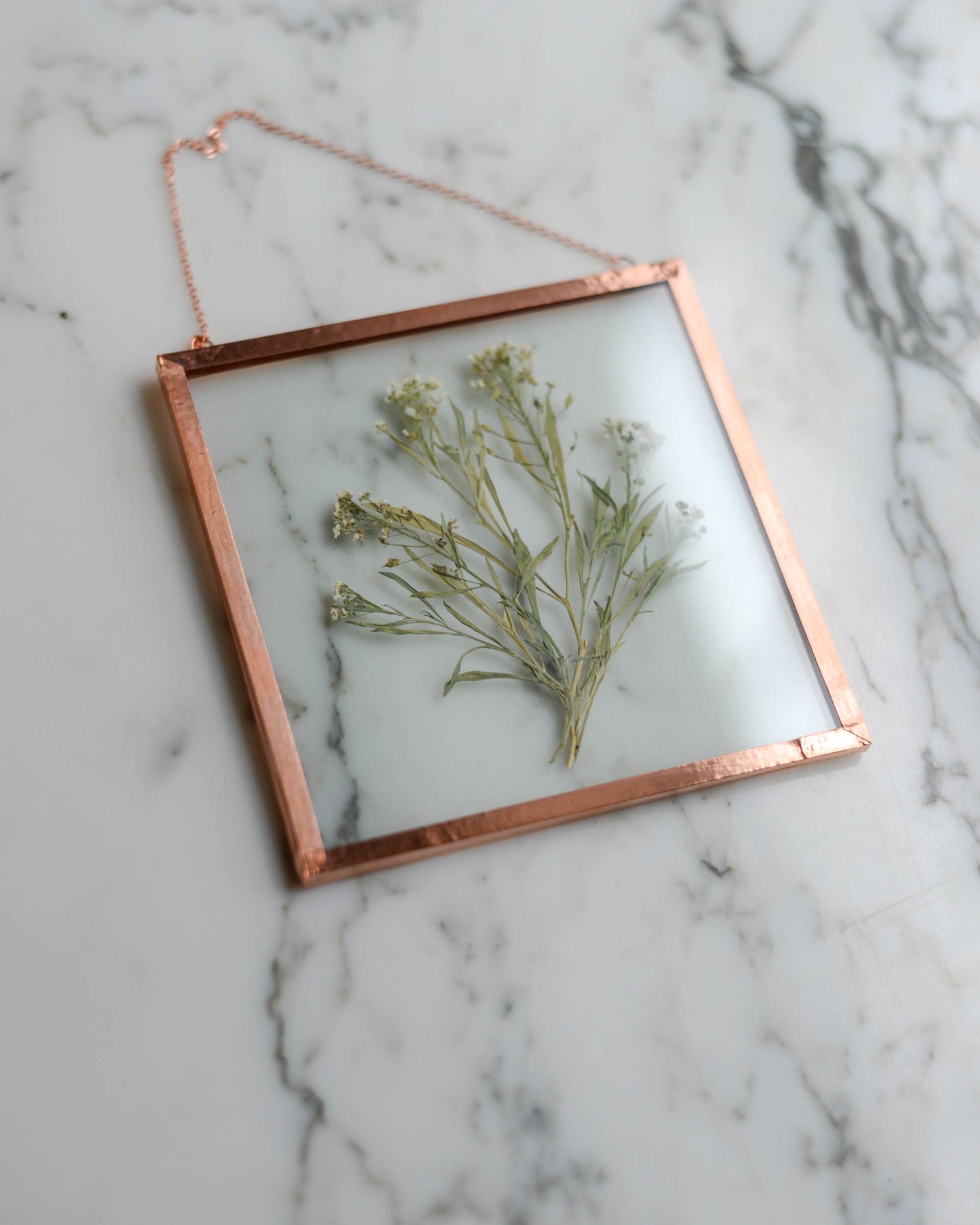 Sweet Alyssum - Medium Square Glass and Copper Wall Hanging