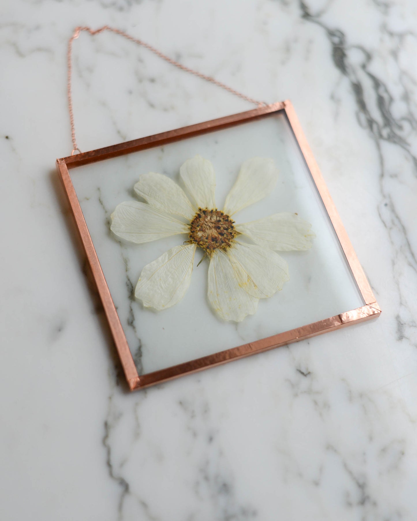 White Cosmo - Medium Square Glass and Copper Wall Hanging
