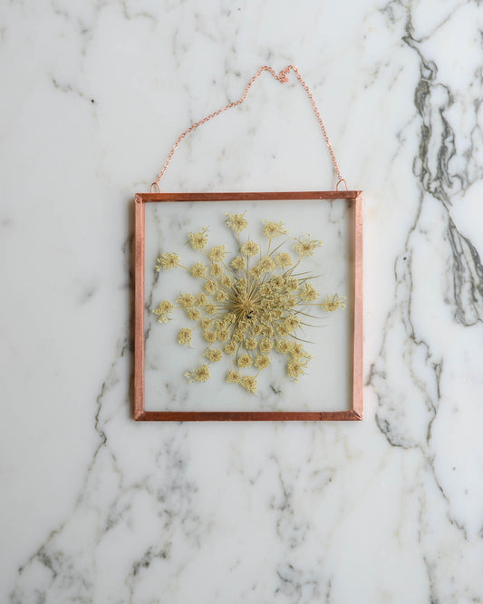 Queen Anne's Lace - Medium Square Glass and Copper Wall Hanging