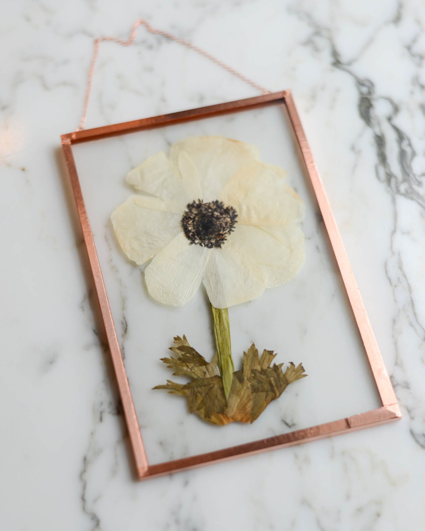 Anemone - Medium Glass and Copper Wall Hanging