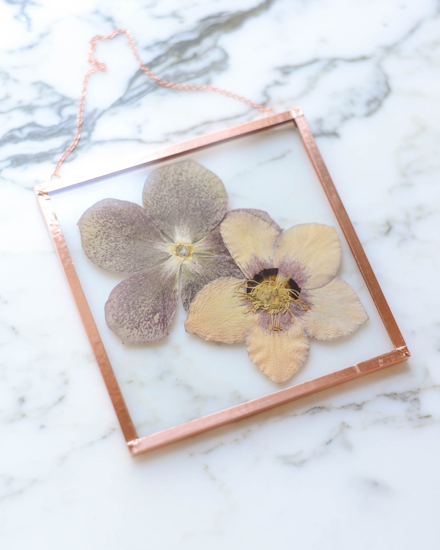 Hellebore Duo - Medium Square Glass and Copper Wall Hanging