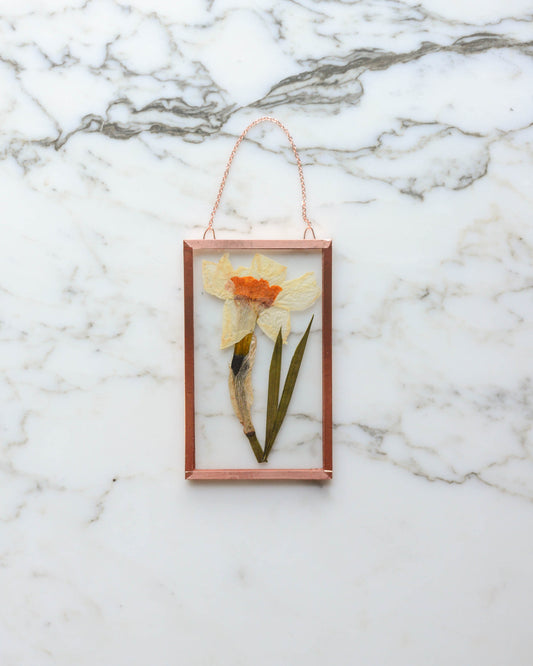Daffodil - Small Glass and Copper Wall Hanging