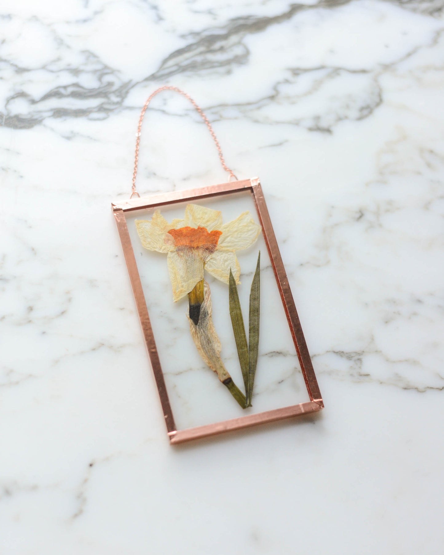 Daffodil - Small Glass and Copper Wall Hanging