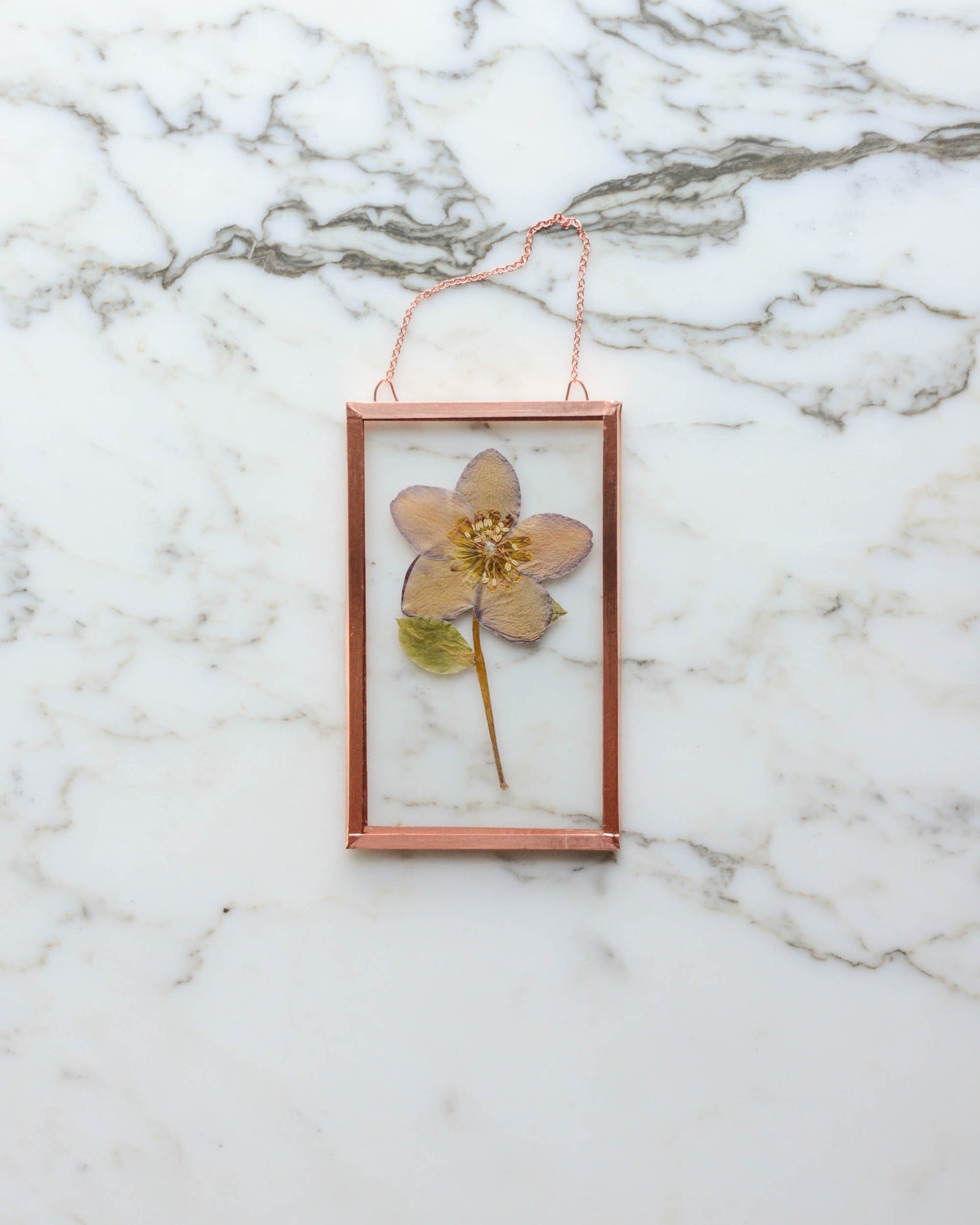 Hellebore - Small Glass and Copper Wall Hanging