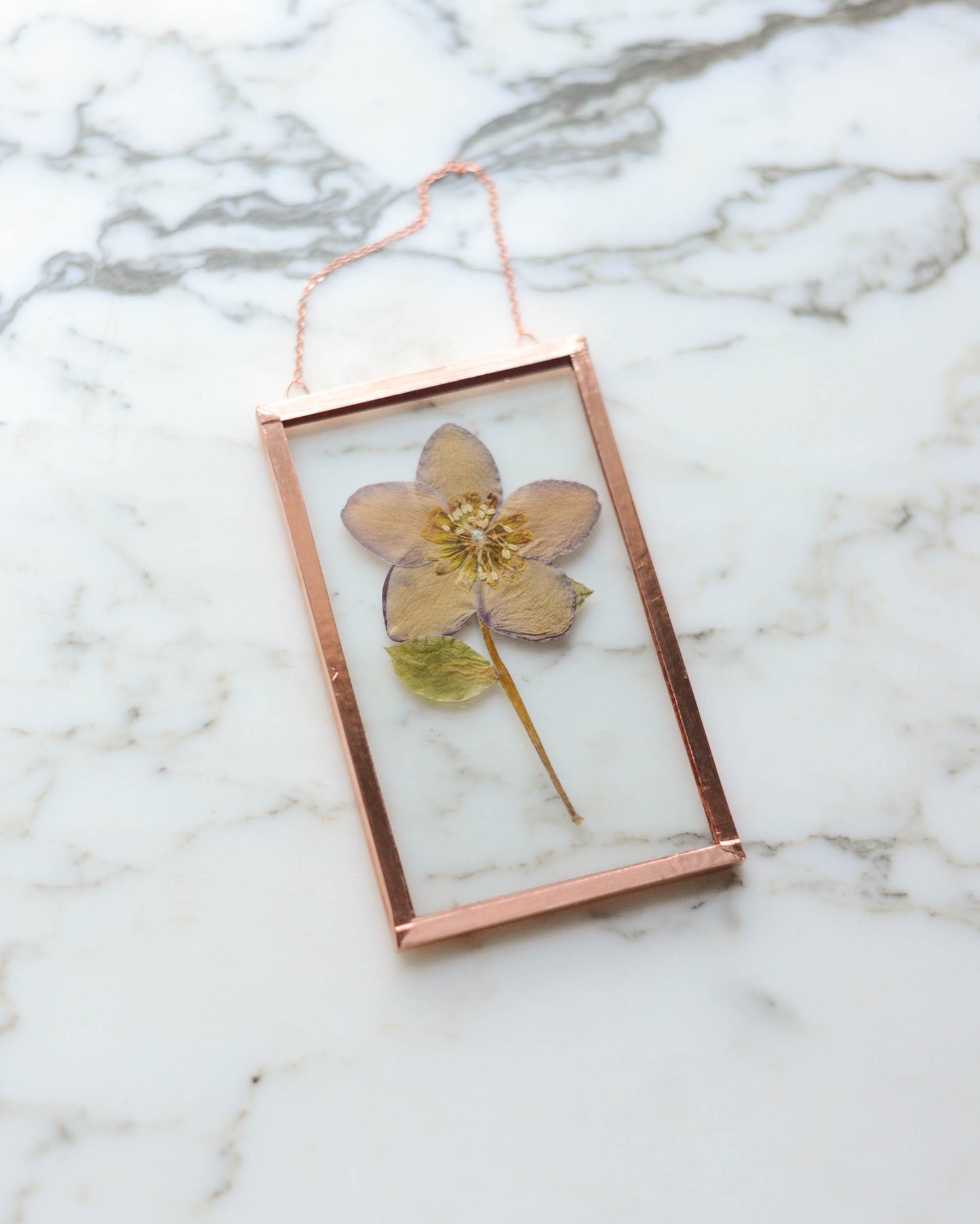 Hellebore - Small Glass and Copper Wall Hanging
