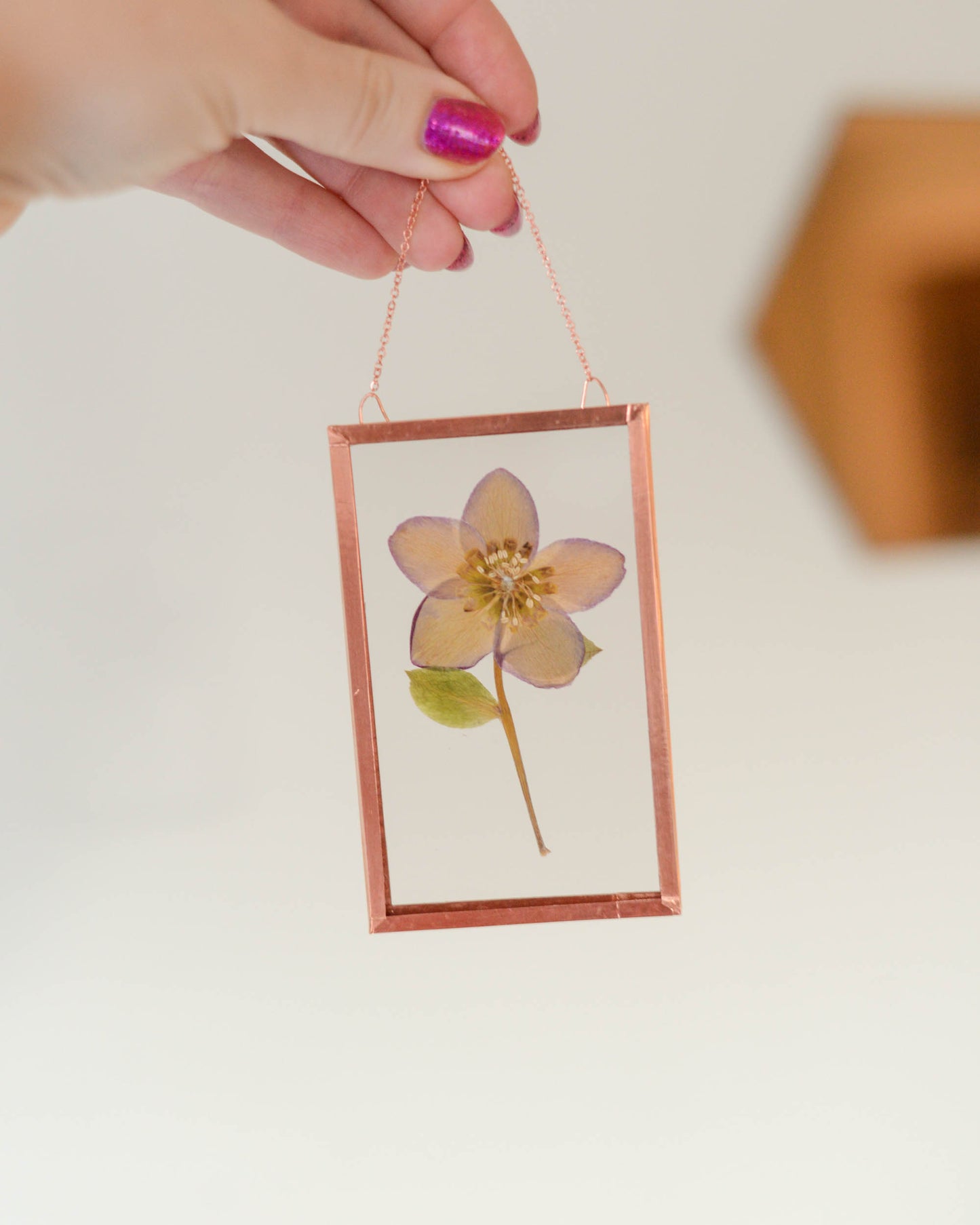 Hellebore - Small Glass and Copper Wall Hanging