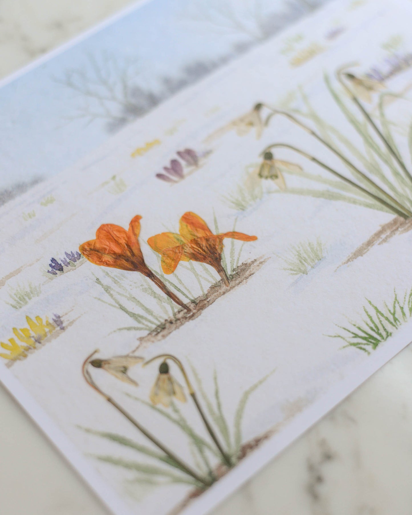 LIMITED EDITION Harbingers of Spring - February Watercolor Flowerscape Print artwork