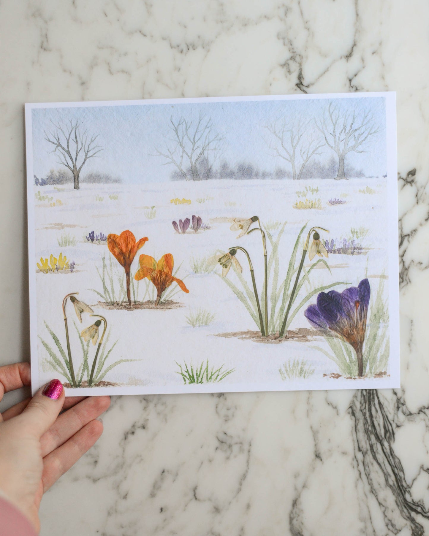 LIMITED EDITION Harbingers of Spring - February Watercolor Flowerscape Print artwork