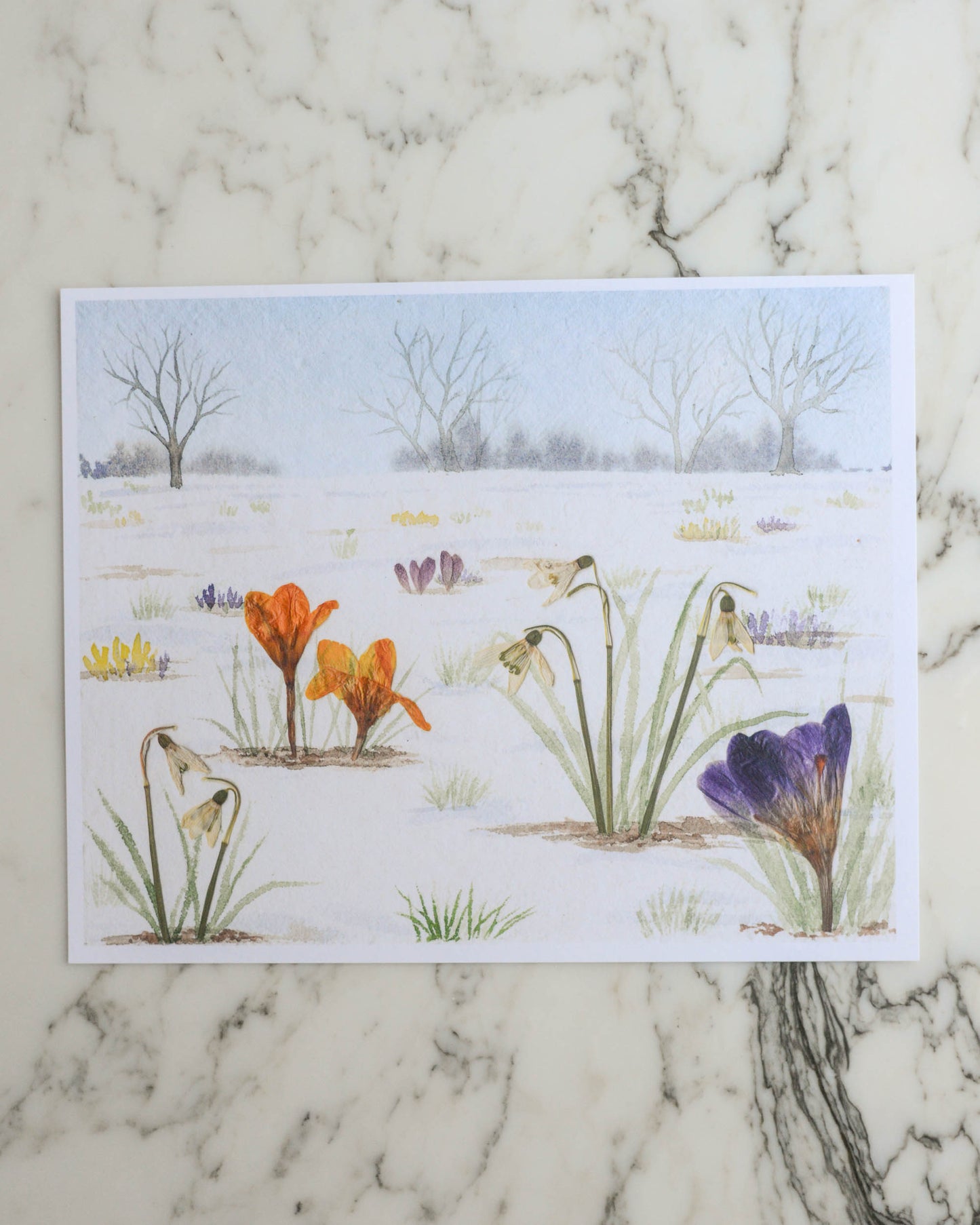 LIMITED EDITION Harbingers of Spring - February Watercolor Flowerscape Print artwork