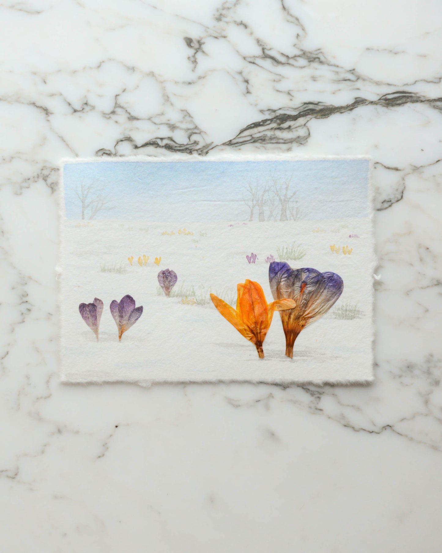 Harbingers: Crocus in the Snow - Original Artwork, 5x7" Watercolor and Pressed Flowers