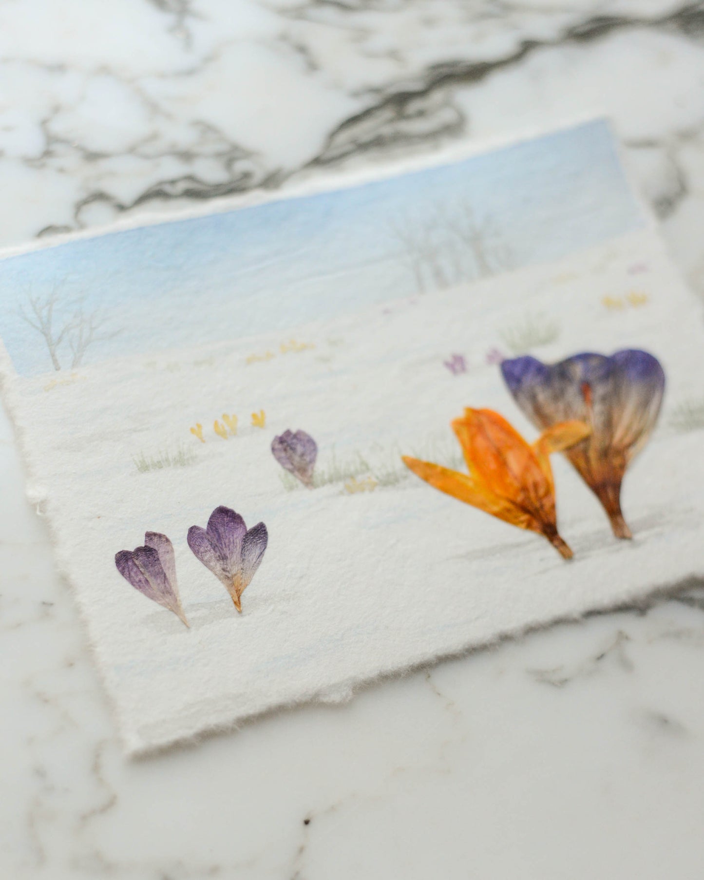 Harbingers: Crocus in the Snow - Original Artwork, 5x7" Watercolor and Pressed Flowers