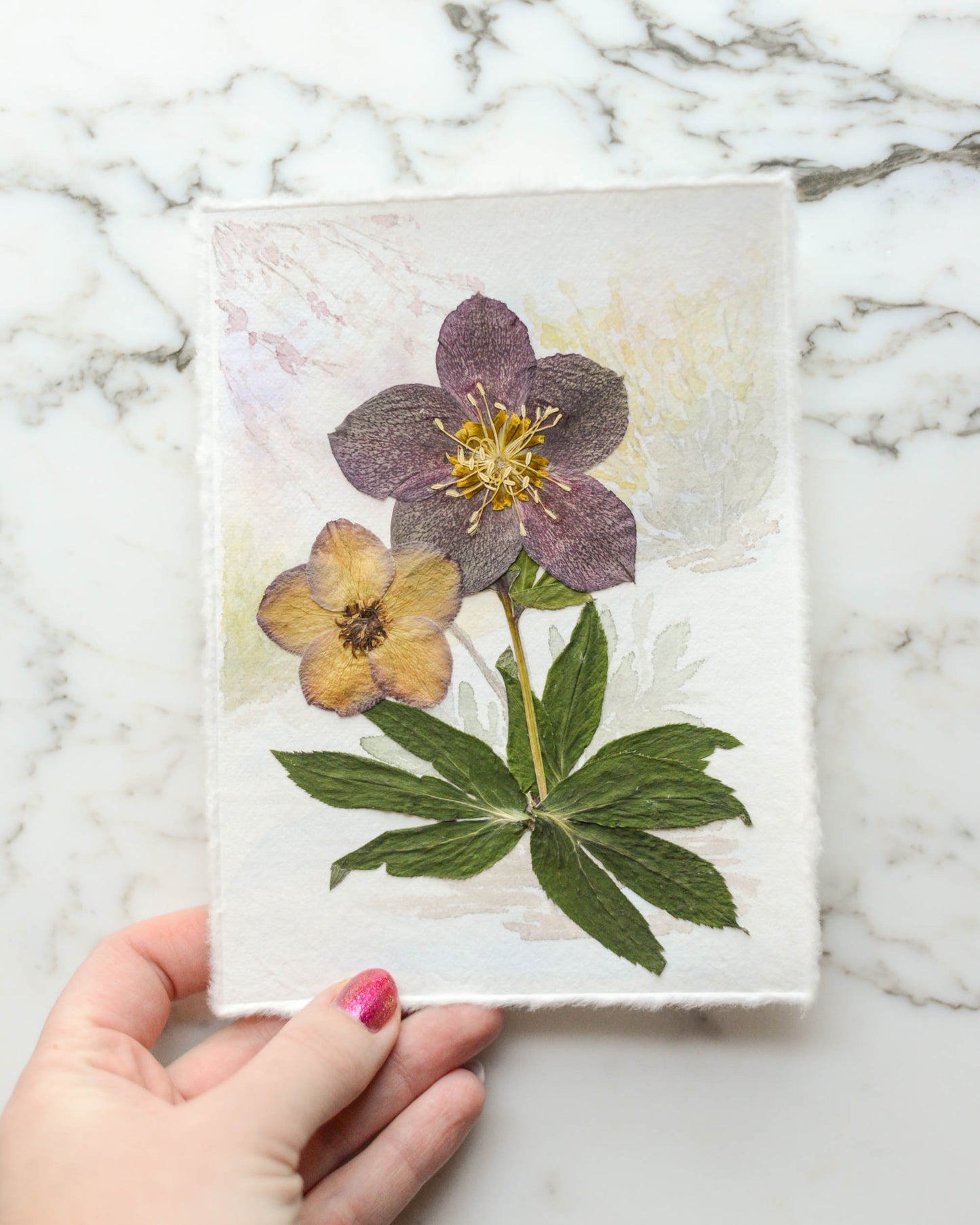 Hellebore in the Snow - Original Artwork, 5x7" Watercolor and Pressed Flowers