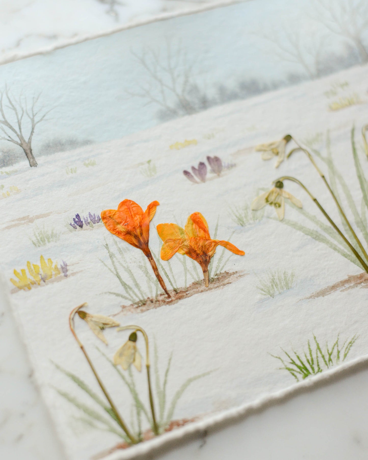 Harbingers of Spring - Original Artwork, 8x10" Watercolor and Pressed Flowers