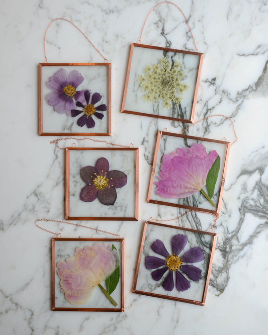 Garden Blooms - Real Pressed Flowers in Medium Glass and Copper Wall Hanging