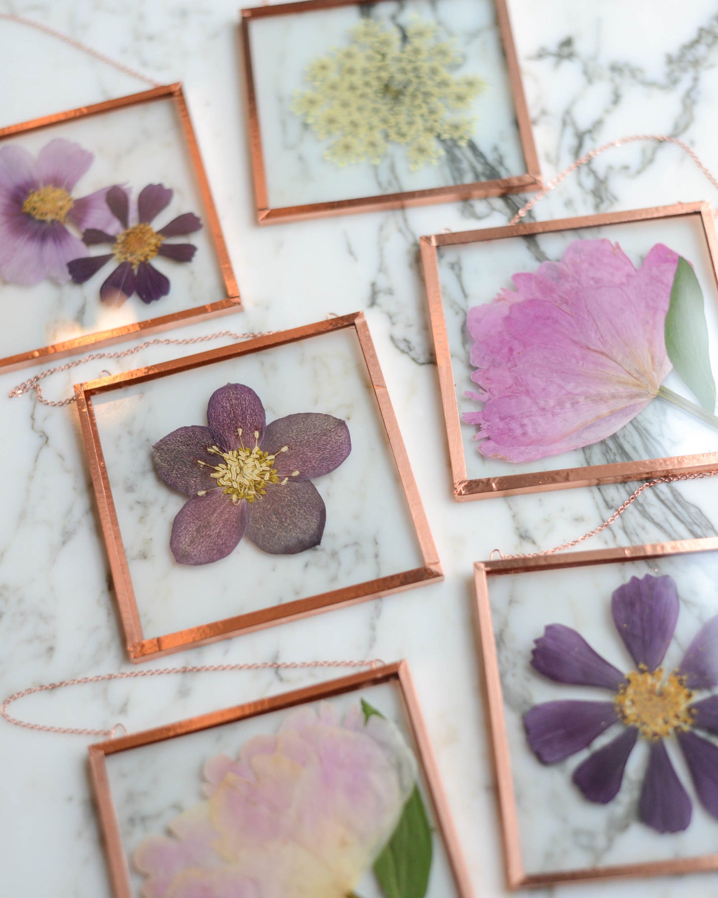 Garden Blooms - Real Pressed Flowers in Medium Glass and Copper Wall Hanging
