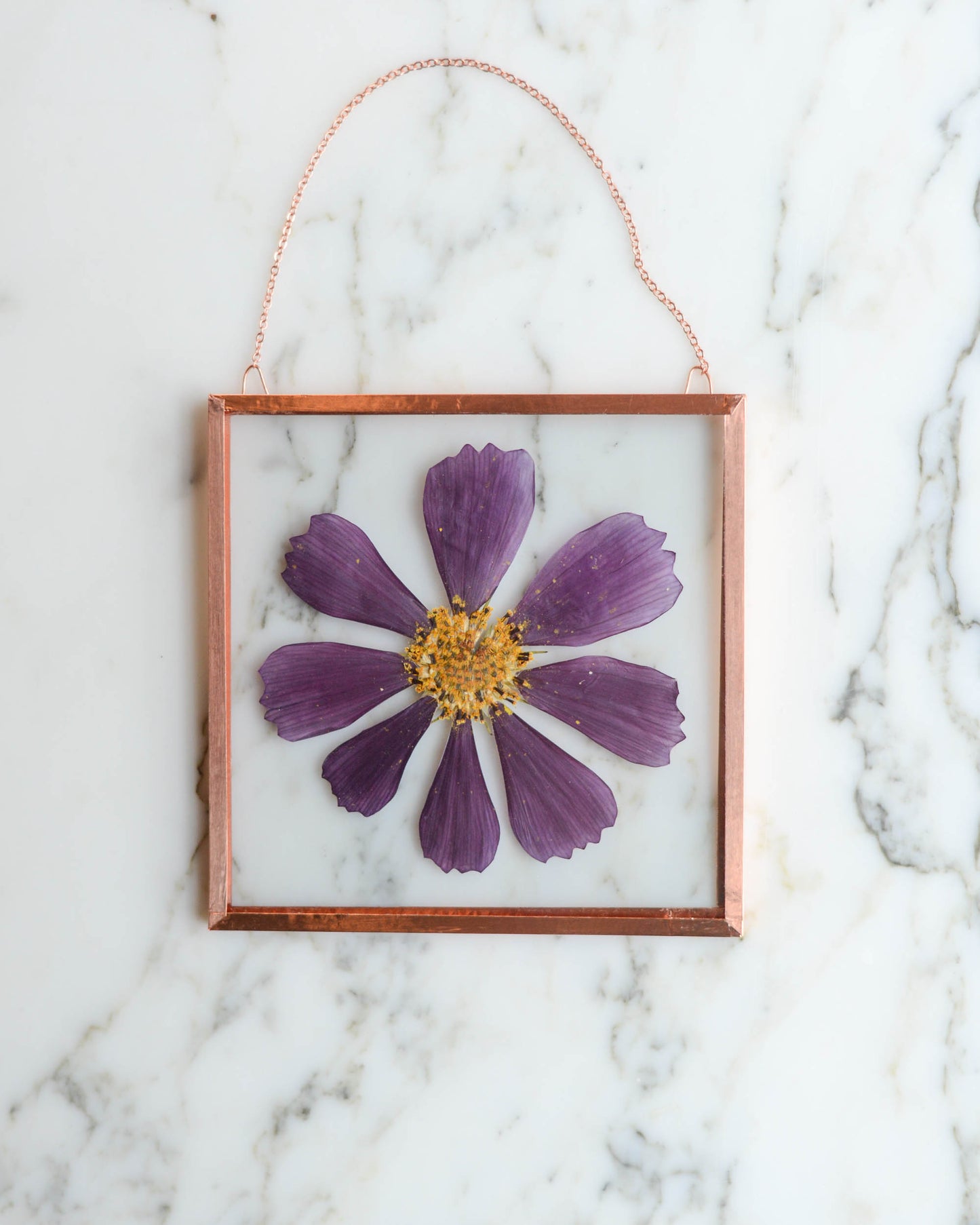 Garden Blooms - Real Pressed Flowers in Medium Glass and Copper Wall Hanging