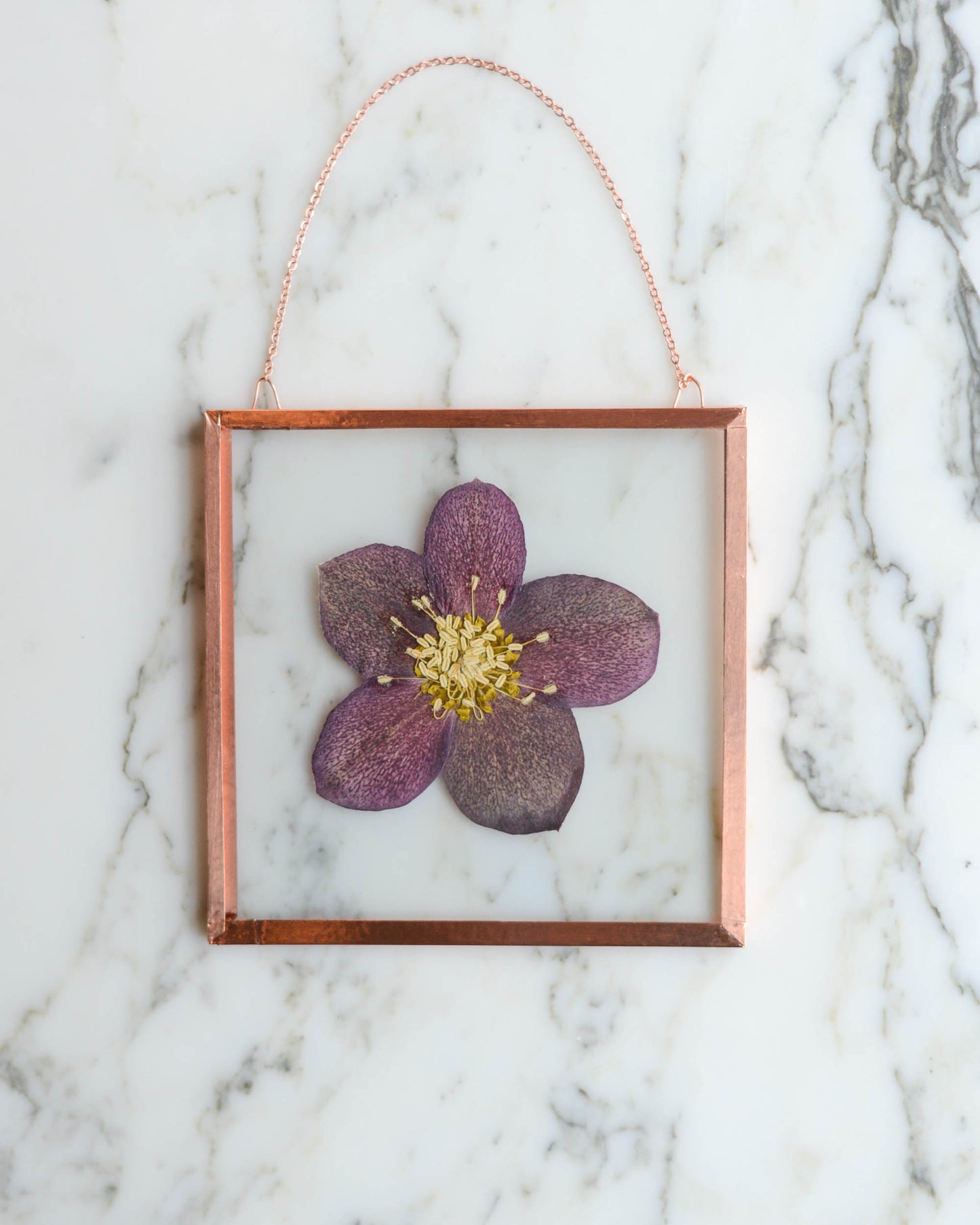 Garden Blooms - Real Pressed Flowers in Medium Glass and Copper Wall Hanging