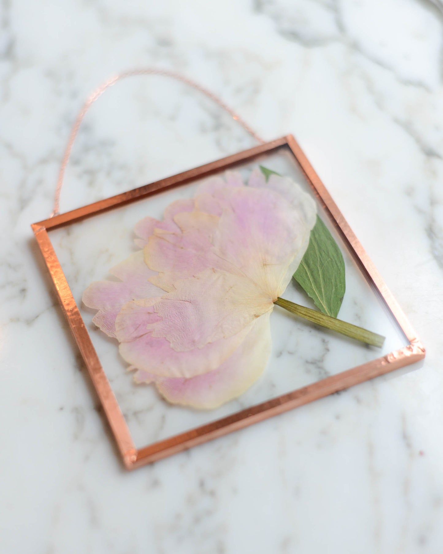 Garden Blooms - Real Pressed Flowers in Medium Glass and Copper Wall Hanging