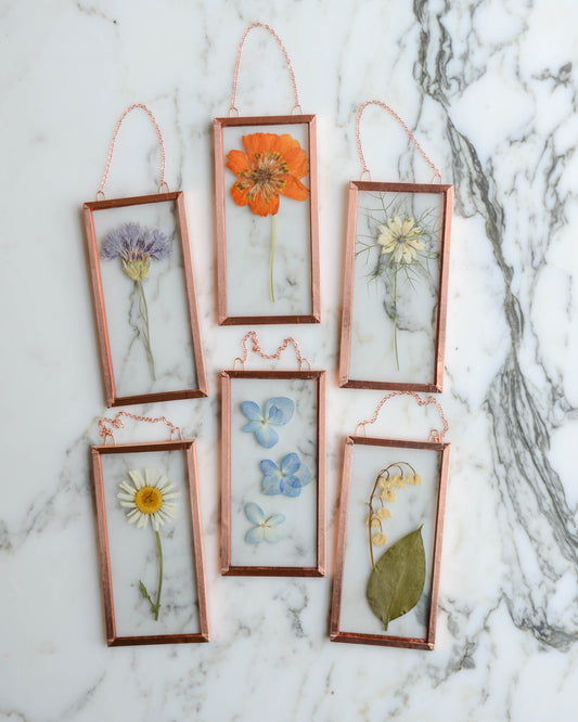 Tiny Flowers - Real Pressed Flowers in Small Glass and Copper Wall Hanging