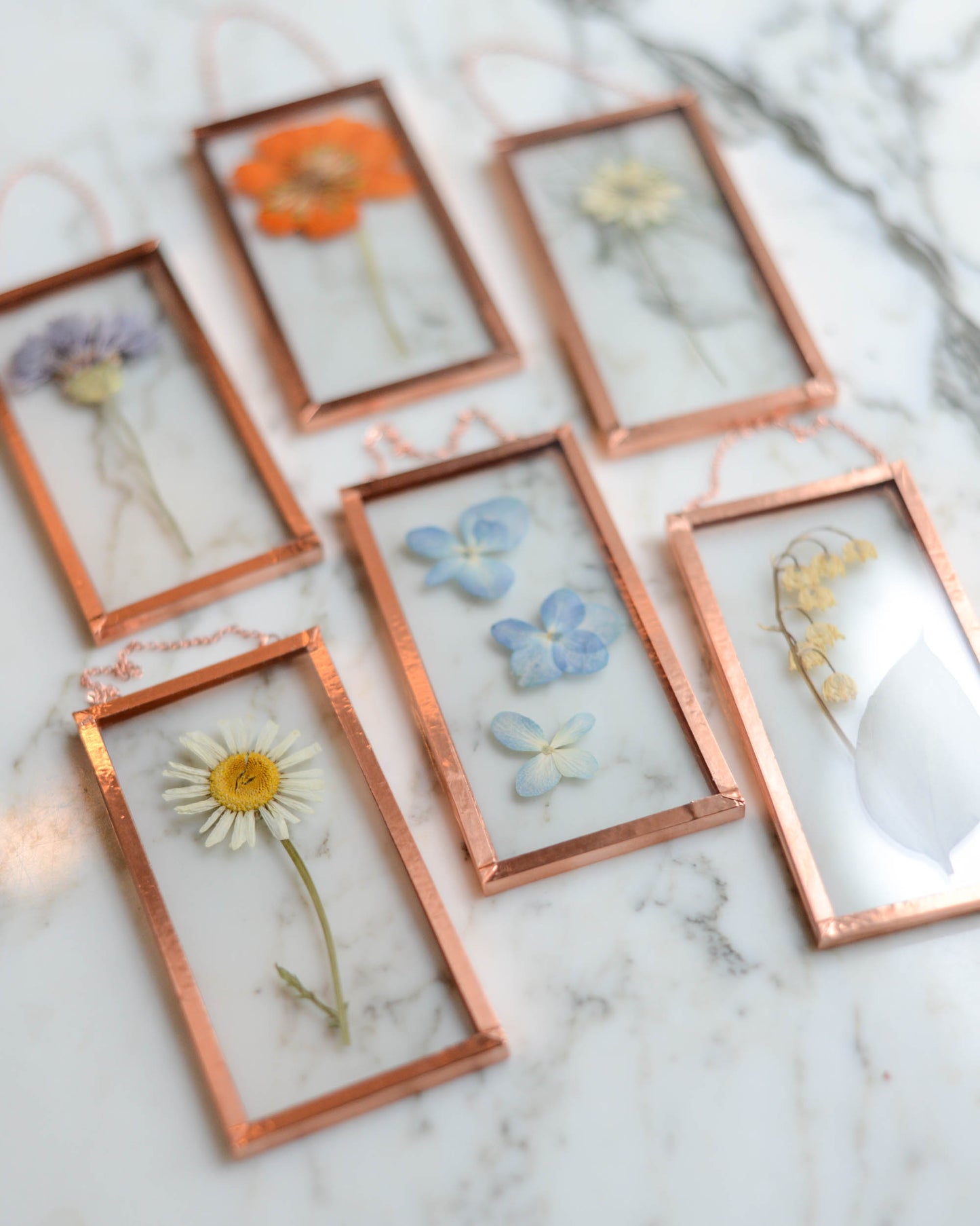 Tiny Flowers - Real Pressed Flowers in Small Glass and Copper Wall Hanging