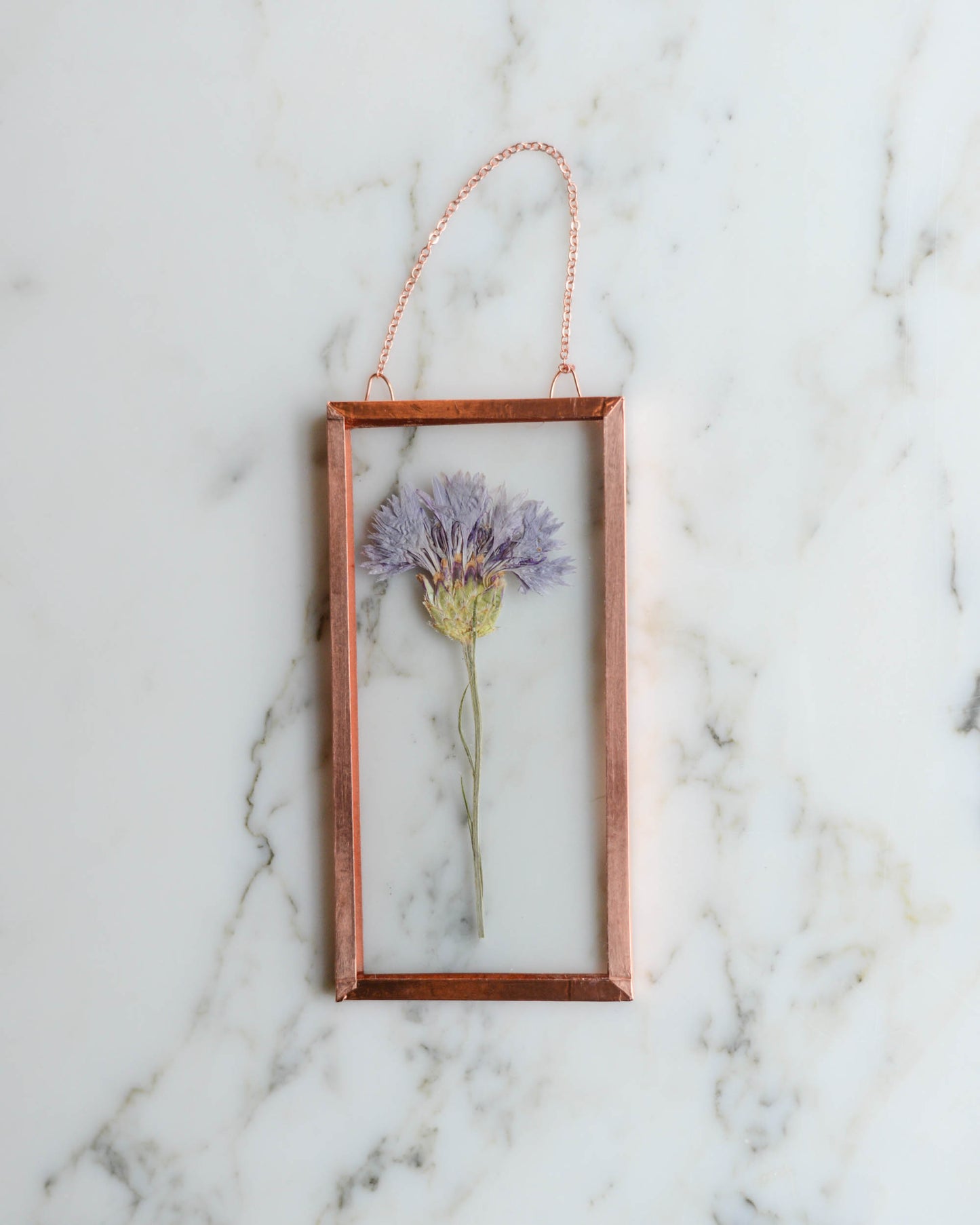 Tiny Flowers - Real Pressed Flowers in Small Glass and Copper Wall Hanging