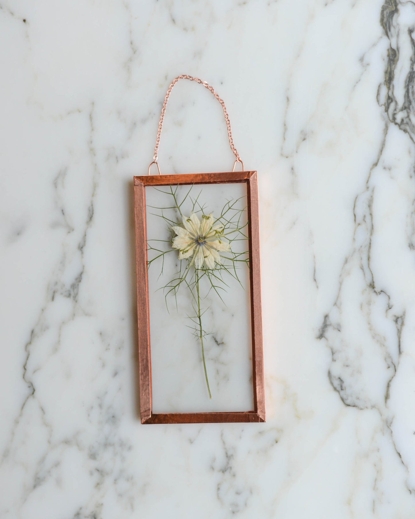 Tiny Flowers - Real Pressed Flowers in Small Glass and Copper Wall Hanging