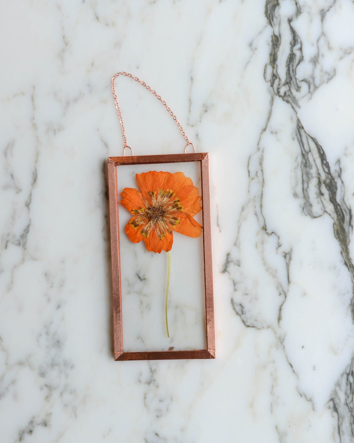 Tiny Flowers - Real Pressed Flowers in Small Glass and Copper Wall Hanging