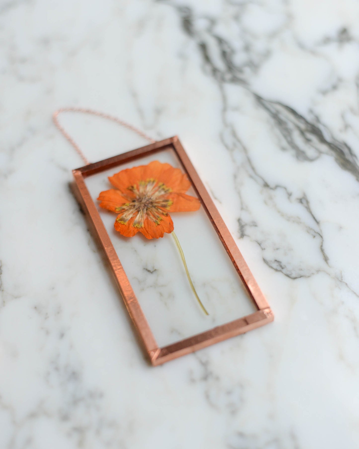 Tiny Flowers - Real Pressed Flowers in Small Glass and Copper Wall Hanging