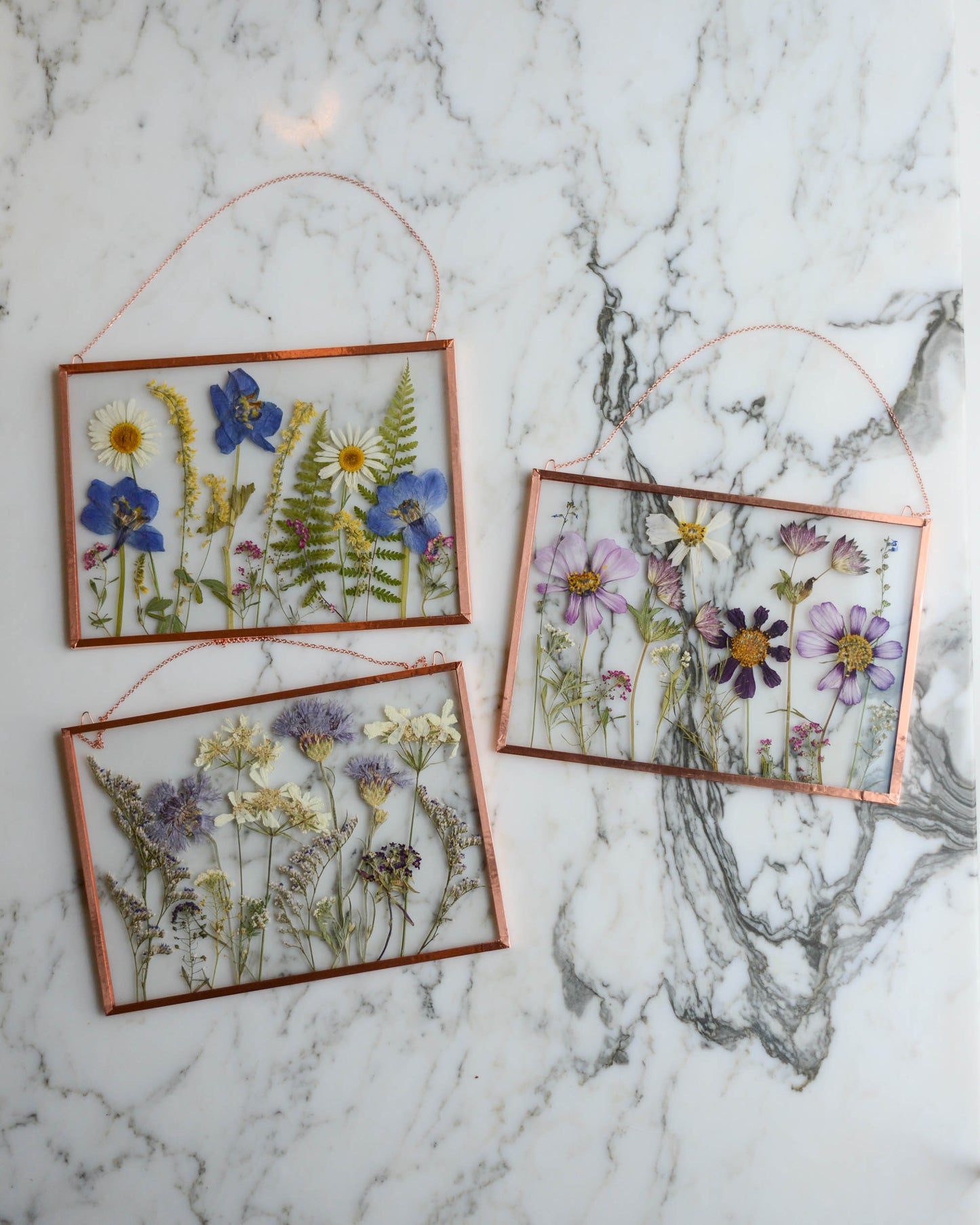 In the Meadow - Real Pressed Flowers in Medium Glass and Copper Wall Hanging