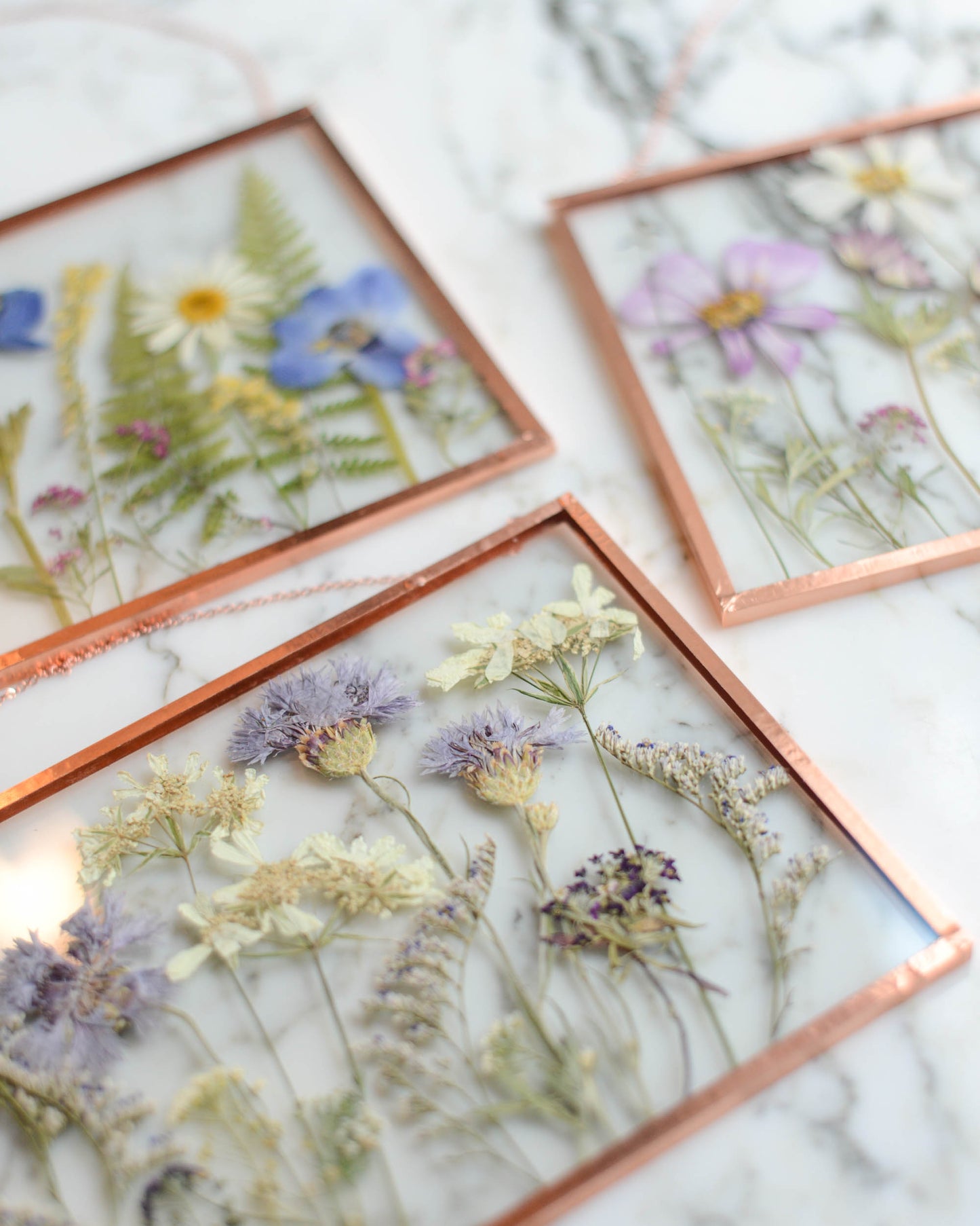 In the Meadow - Real Pressed Flowers in Medium Glass and Copper Wall Hanging