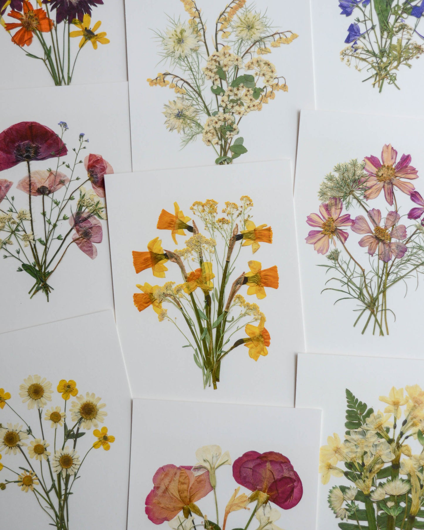 Birthday Bouquets - Art Print of Pressed Flowers