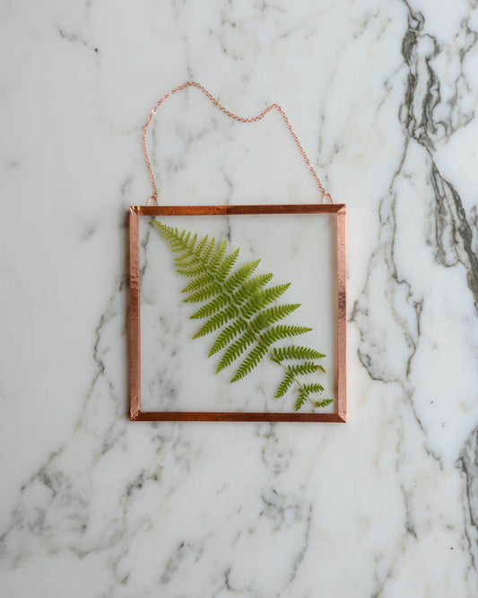 Fern - Small Glass and Copper Wall Hanging