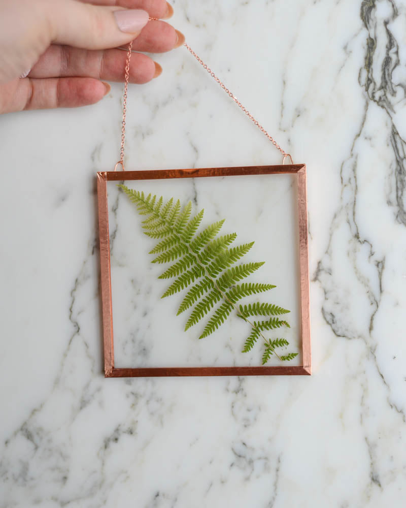 Fern - Small Glass and Copper Wall Hanging