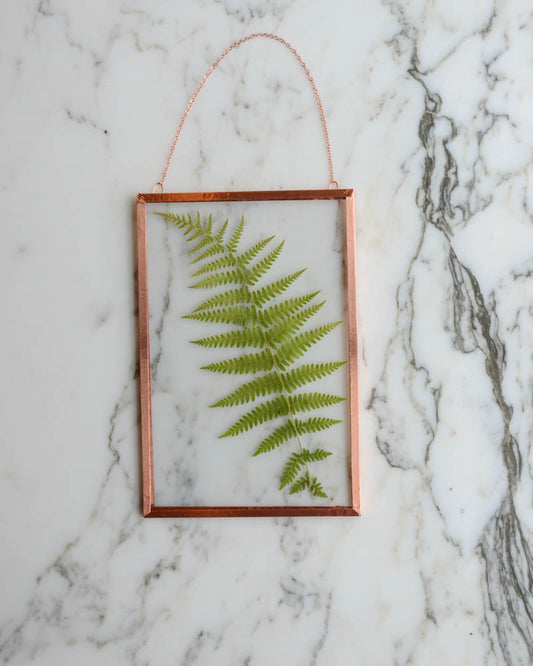 Fern - Medium Glass and Copper Wall Hanging