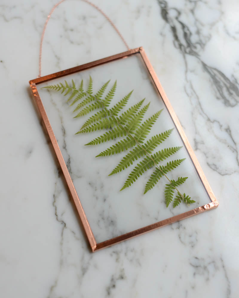 Fern - Medium Glass and Copper Wall Hanging