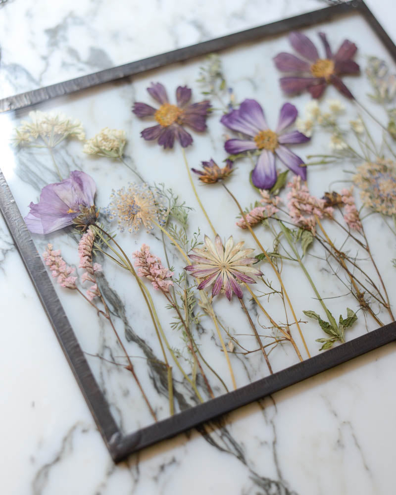 Cosmos Meadow - Large Glass Wall Hanging
