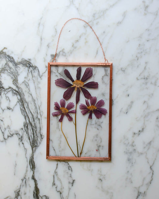 Rubenza Cosmos - Medium Glass and Copper Wall Hanging