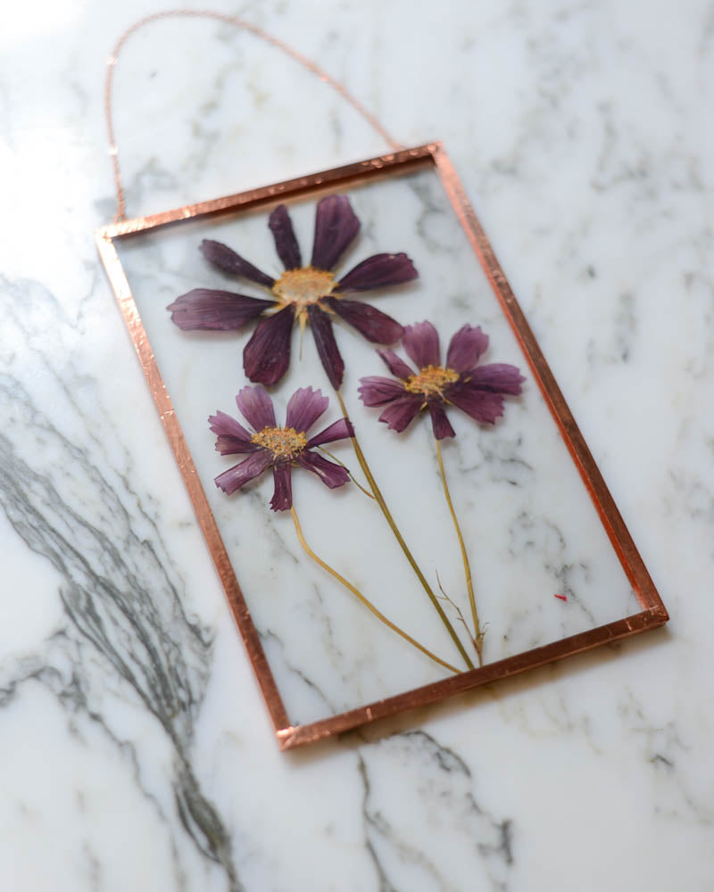 Rubenza Cosmos - Medium Glass and Copper Wall Hanging