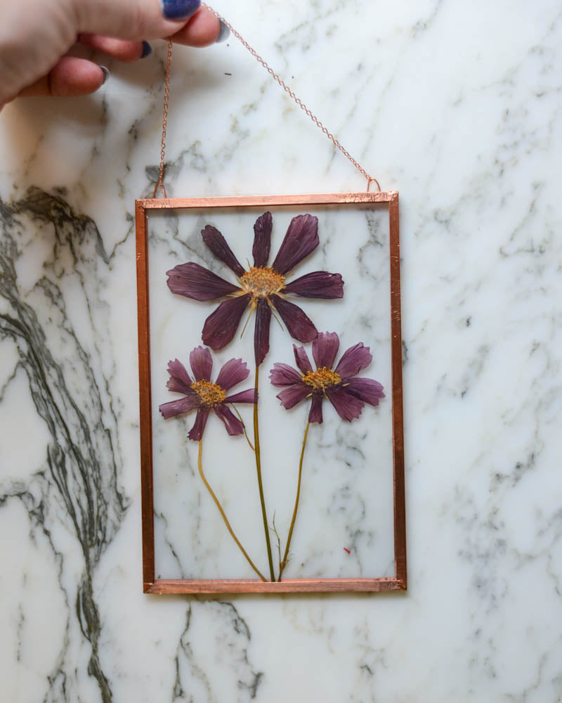 Rubenza Cosmos - Medium Glass and Copper Wall Hanging