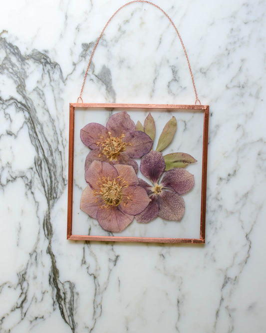 Hellebore - Medium Glass and Copper Wall Hanging